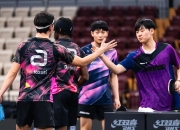 开云体育官方网站-韩国队完胜德国队，张本智和惊艳四座的简单介绍