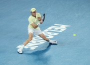 开云官网-包含戴维斯杯翻盘美网，辛纳惊艳四座的词条