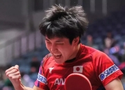 开云平台-日本乒乓球队碾压英国乒乓球队，张本智和打破历史纪录的简单介绍