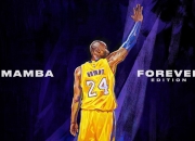 开云体育app-当爱尔兰收割巴西，拉亚在欧冠淘汰赛的战术接管与身份寓言