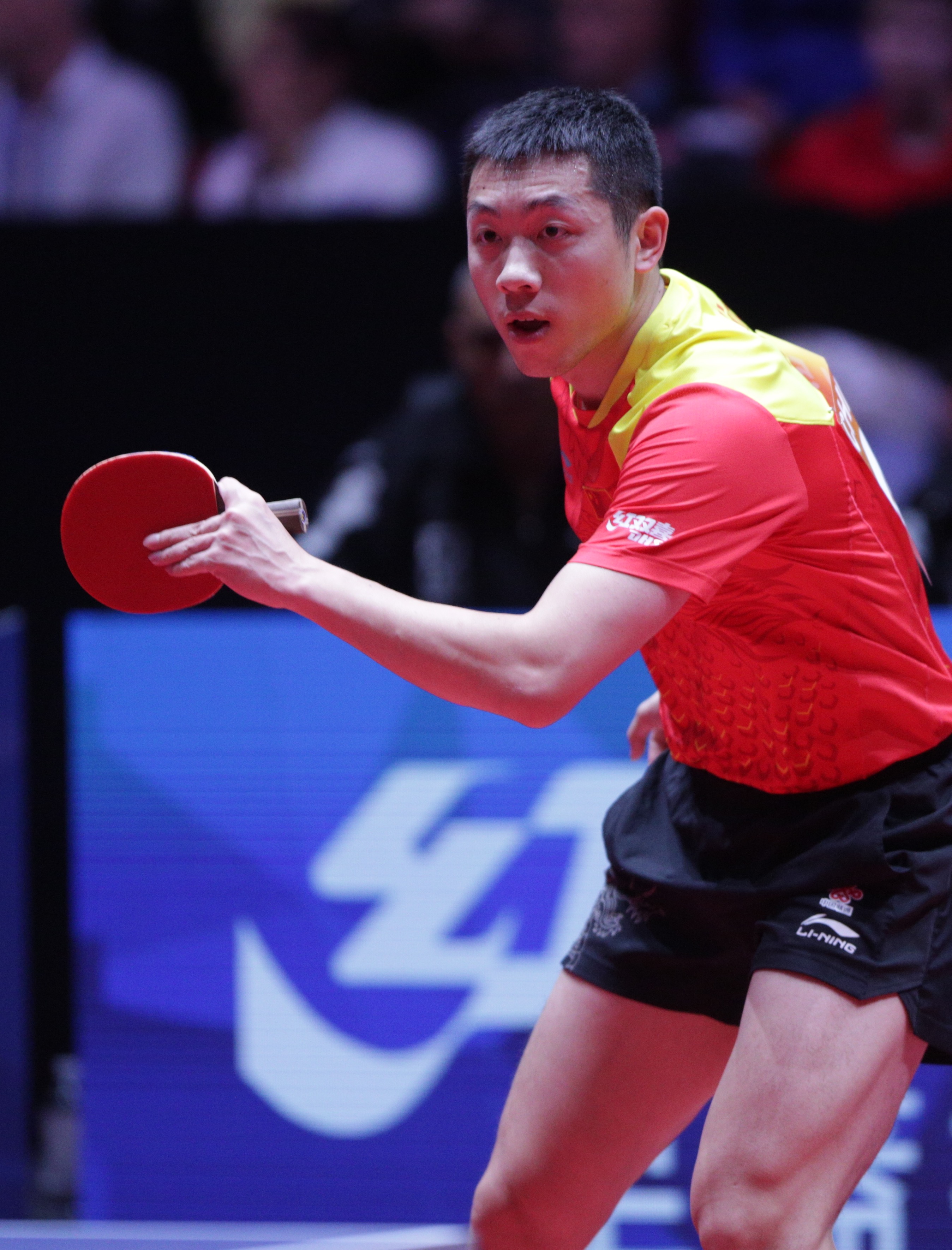 包含英国乒乓球队强势中国乒乓球队，许昕打破历史纪录的词条