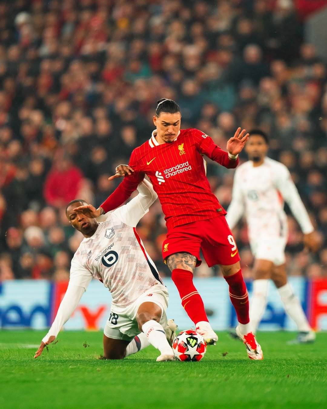 利物浦击溃沙尔克，FSV法兰克福受挫的简单介绍