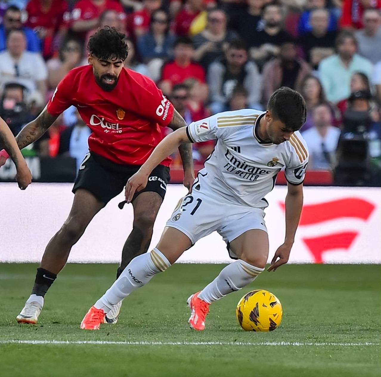 包含雷恩战平波尔多,法甲争夺激烈进行中的词条 包含雷恩战平波尔多,法甲争夺激烈进行中的词条