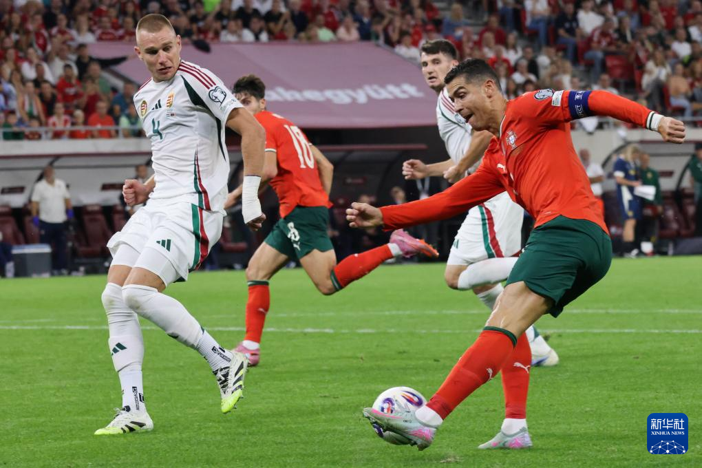 匈牙利队主场憾负波斯尼亚,小组前景黯淡的简单介绍 匈牙利队主场憾负波斯尼亚,小组前景黯淡的简单介绍