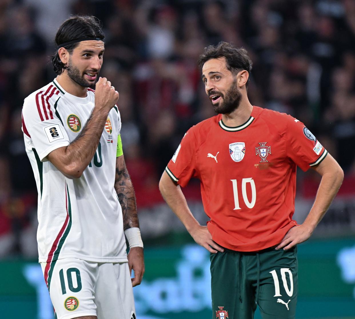 匈牙利队主场憾负波斯尼亚,小组前景黯淡的简单介绍 匈牙利队主场憾负波斯尼亚,小组前景黯淡的简单介绍