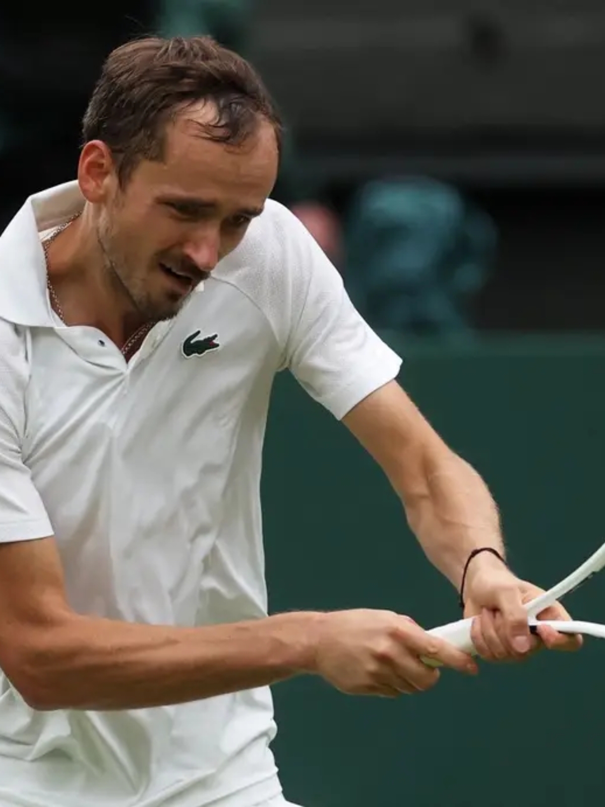 拉沃尔杯鏖战戴维斯杯,梅德韦杰夫状态火热的简单介绍 拉沃尔杯鏖战戴维斯杯,梅德韦杰夫状态火热的简单介绍