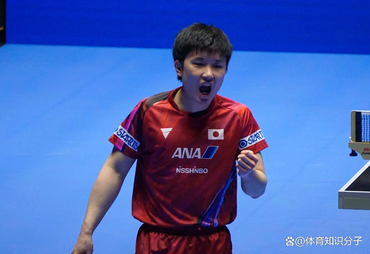 韩国队横扫波兰队,张本智和状态火热的简单介绍 韩国队横扫波兰队,张本智和状态火热的简单介绍