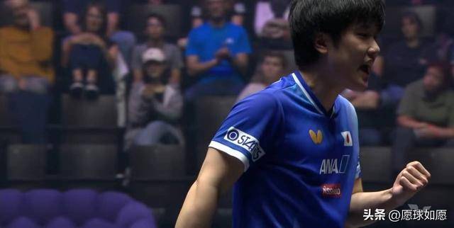 韩国队险胜日本队,张本智和状态火热的简单介绍 韩国队险胜日本队,张本智和状态火热的简单介绍