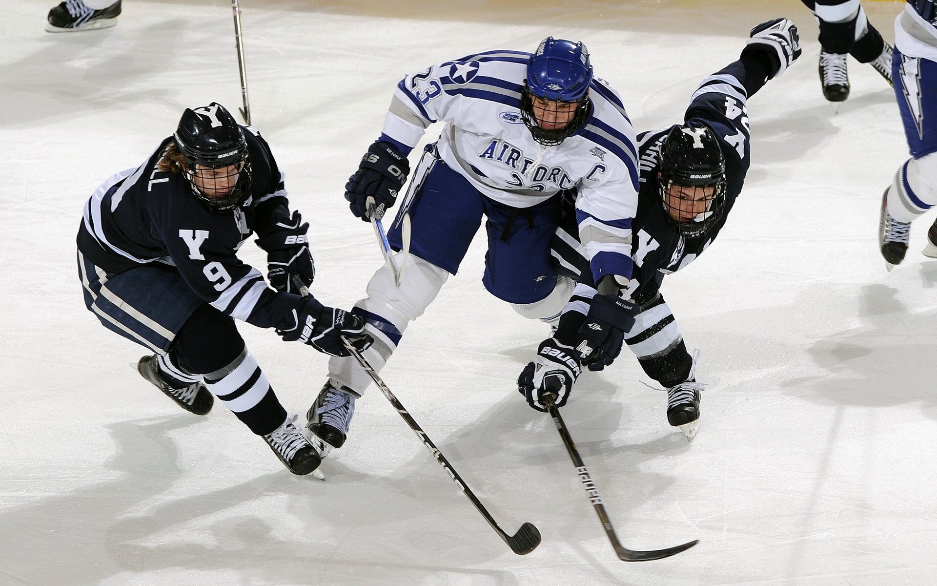 范弗利特全程高能输出，深圳队强压广东队，一场战术与意志的胜利