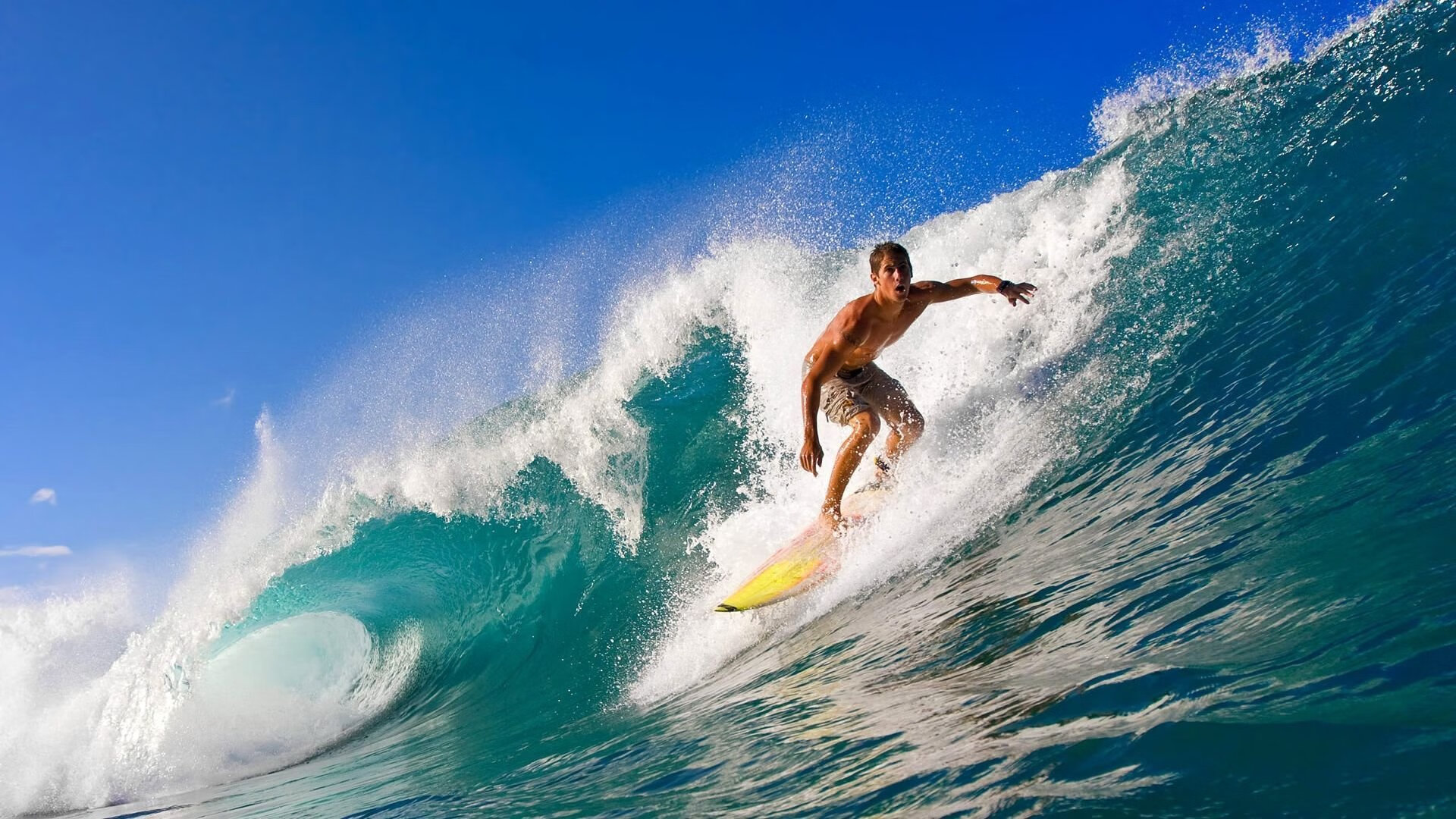 凯尔特人对阵深圳队，贝恩攻防两端的统治性表演